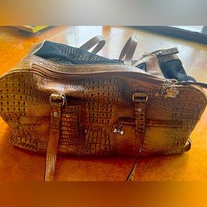 Donald Pliner Casis Gator Day Pet Carrier. Friend of Baby  Doll Pliner.